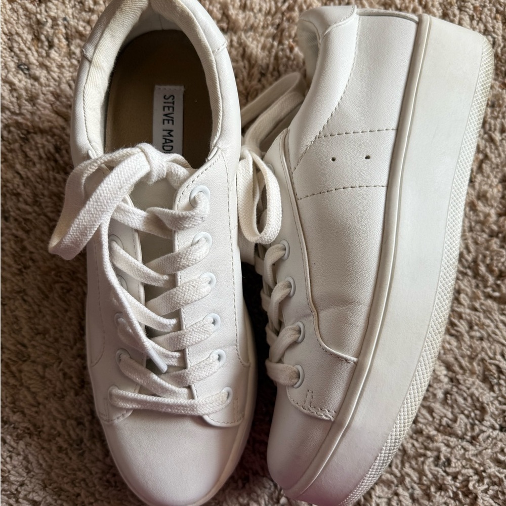 Steve Madden Sneakers